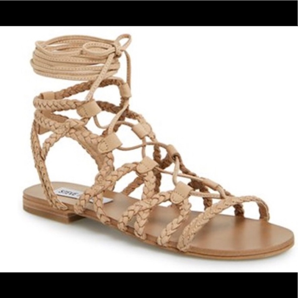 Steve Madden Swyvel Gladiator Sandals